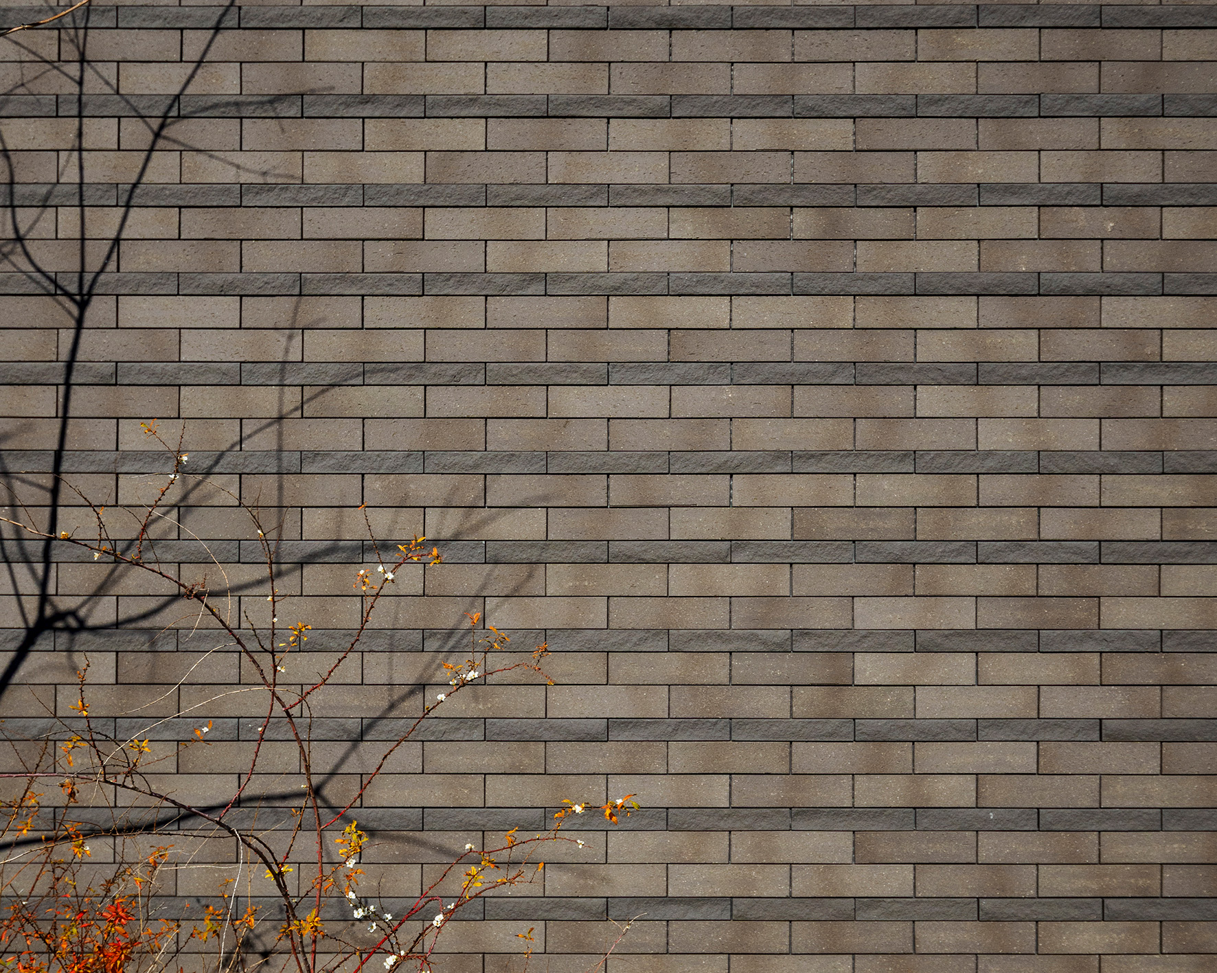 クラシック・ネクスト ｜ブリック（レンガ）タイル｜アイコットリョーワ