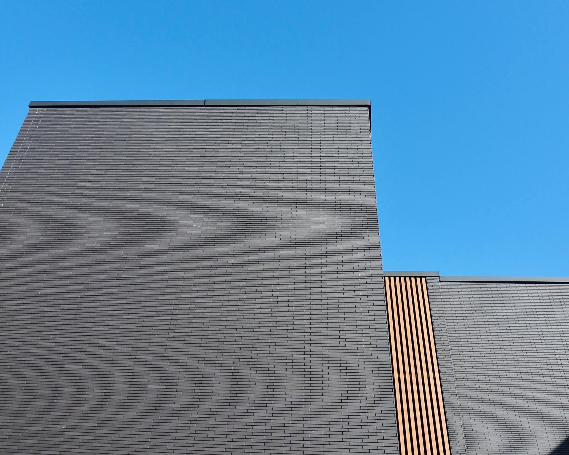 けるダールページ Argyle™ Fukuroi アーガイル™・ソラシック・カテーテル | カーディナル