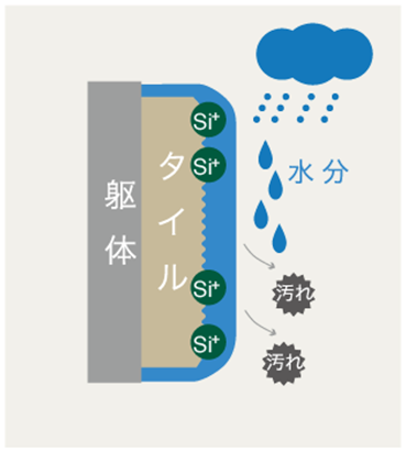 雨が降ると、汚れはタイル表面の水分と共に洗い流されていきます。