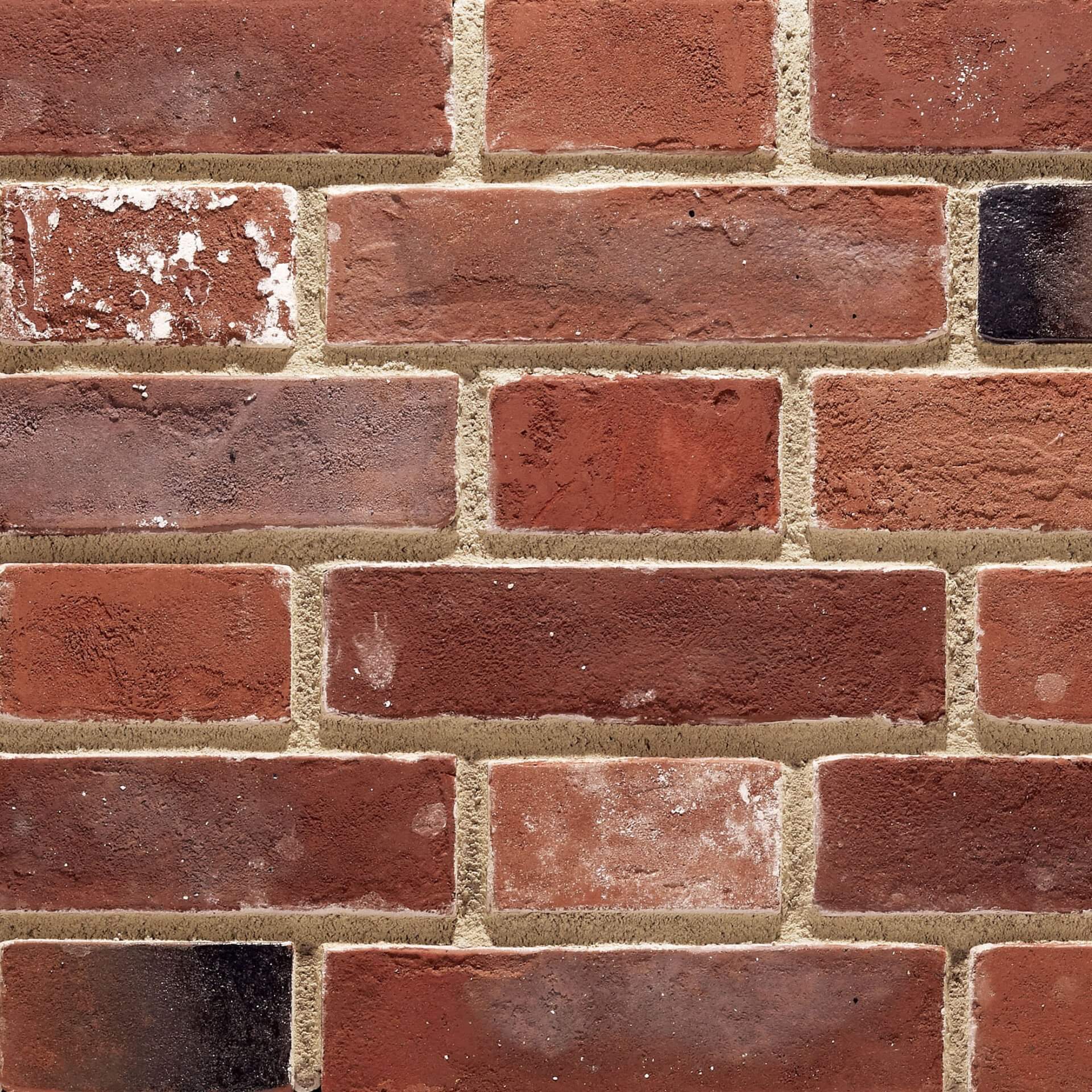 JAPAN EYEWEAR HOLDINGS｜オフィス