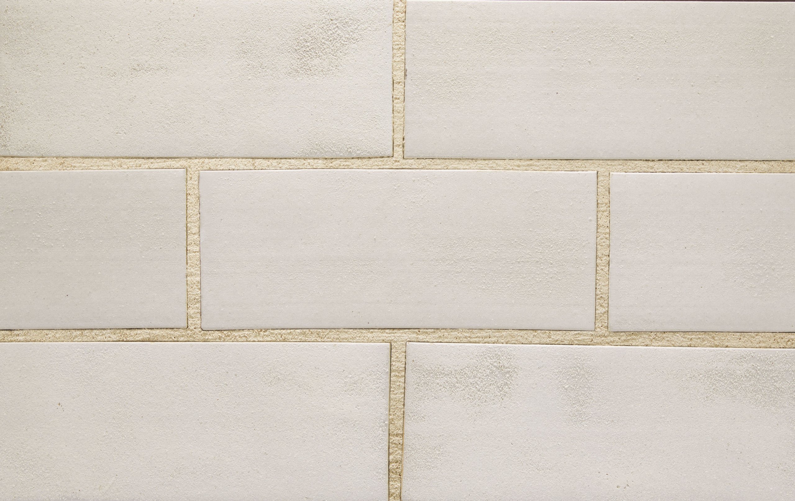 参考画像 画像ダウンロード | 株式会社アイコットリョーワ