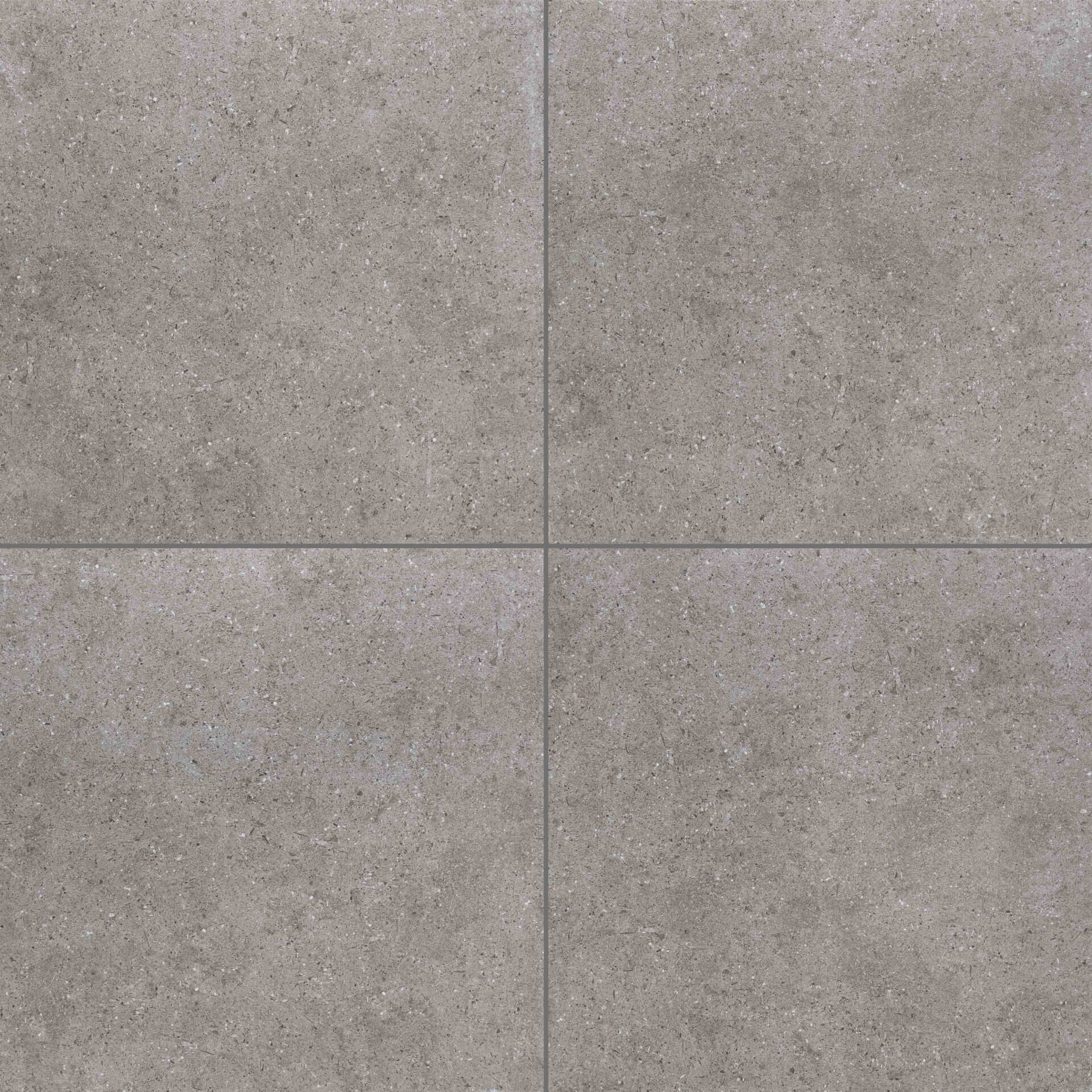 ＜New：7月発売＞ブレンダ