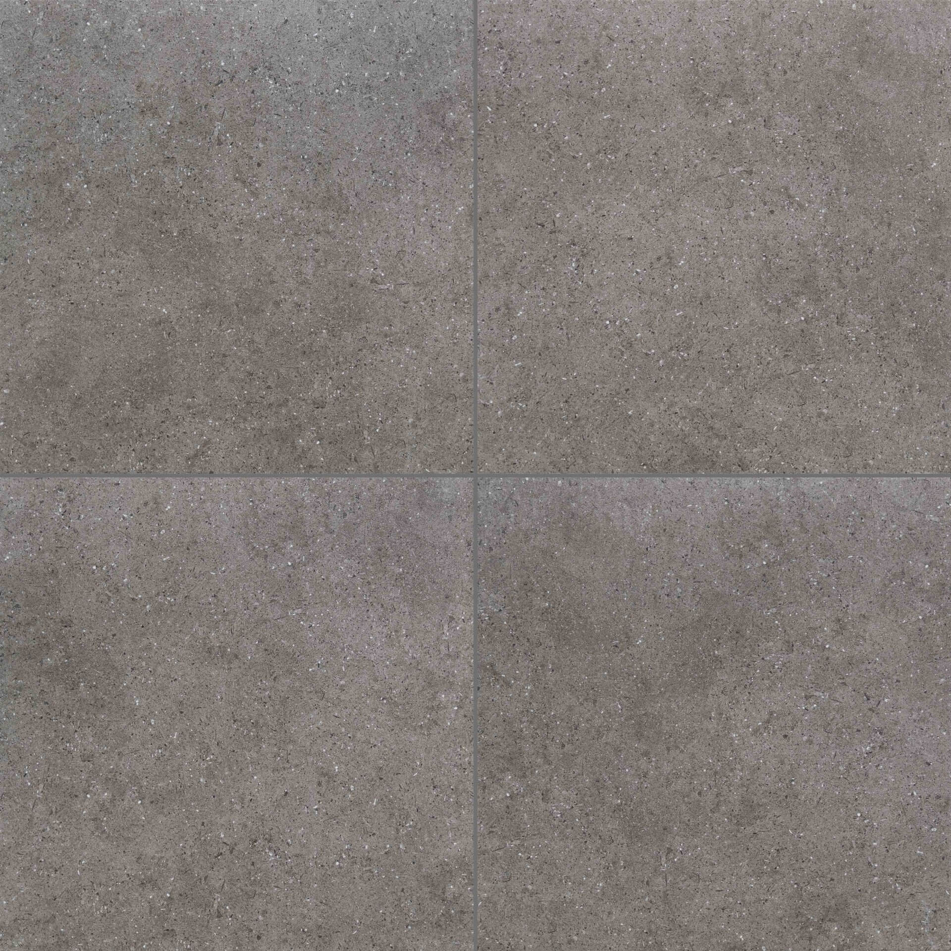 ＜New：7月発売＞ブレンダ