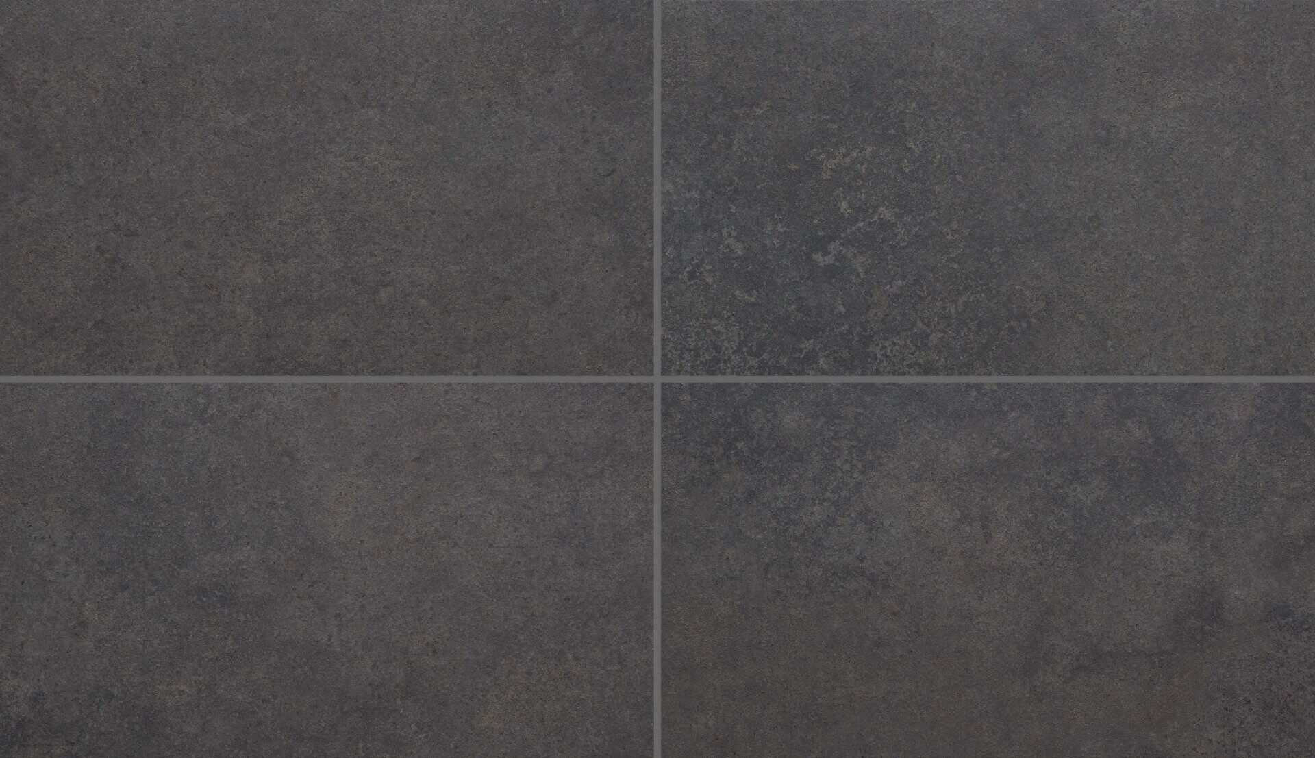 ＜New＞山茶～さんさ～